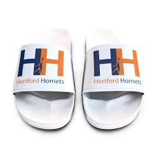 Image result for Hertford Hornets Netball Club