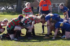 Image result for Ellingham and Ringwood Rugby Club