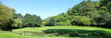 Image result for Clevedon Golf Club