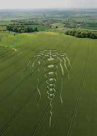 Image result for crop circles