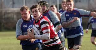 Image result for Novocastrians Rugby Football Club