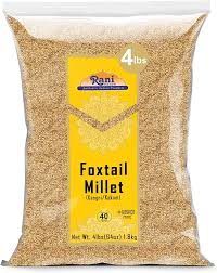 Attēlu rezultāti vaicājumam “Setaria italica”