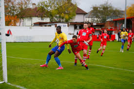 Image result for Egham Town Fc