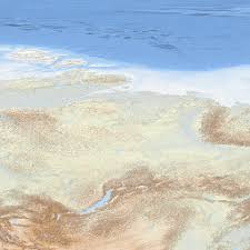 Attēlu rezultāti vaicājumam “Dianemataceae”