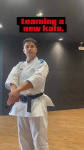 Image result for Jin Sei Kai Shotokan Karate