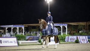 Image result for Fisher Equestrian