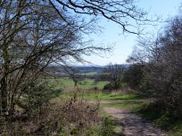 Image result for Guildford Orienteers