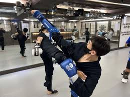 Image result for Tkd Self Defense