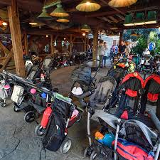 Image result for Soar Valley Strollers C.C