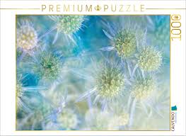 Image result for Blaudistel