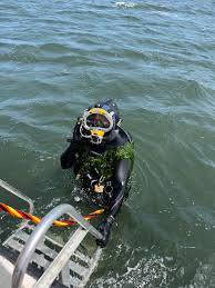 Image result for Dive Crew Scuba Diving