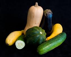 Attēlu rezultāti vaicājumam “Cucurbitaceae”