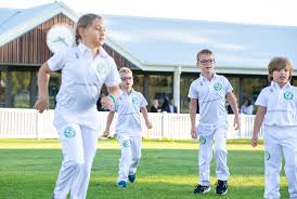 Image result for Bishops Waltham Cricket Club