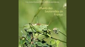 Attēlu rezultāti vaicājumam “Tettigonia cantans”