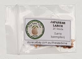 Attēlu rezultāti vaicājumam “Larix kaempferi fruit”