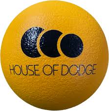 Image result for The Dodgeball Company