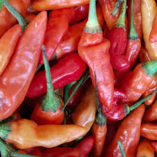 Afbeeldingsresultaat voor cayenne blend hot pepper
