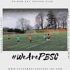 Image result for Pelham Korfball Club