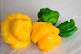 Afbeeldingsresultaat voor yellow mushroom hot pepper