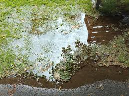 Image result for Ilfracombe Table Tennis Club