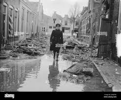 Image result for zeeland 1953