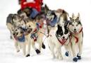 The 2010 Iditarod has begun.
