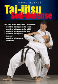 Image result for Tae-jitsu