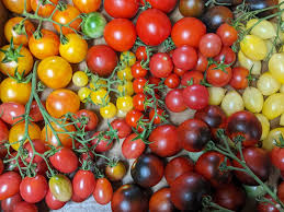 Afbeeldingsresultaat voor rose quartz tomato