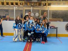Image result for Havering Skater Hockey Club