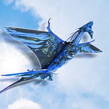 Image result for BARNET and WHETSTONE CHANGQUAN FLYING DRAGON