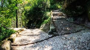 Image result for N C A A C