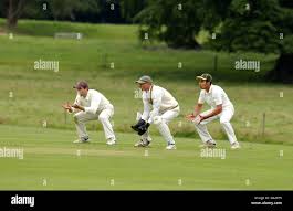 Image result for Frankton Cc