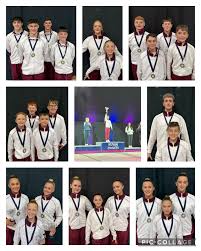 Image result for Spelthorne School Of Gymnastics