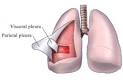 pleura pronunciation