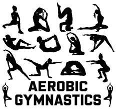 Image result for Aero Gymnastics Club