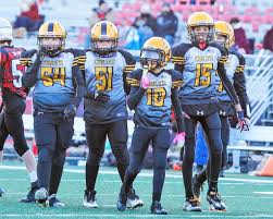 Image result for Manor Colts Youth Football Club