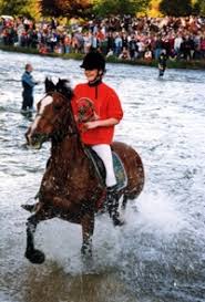 Image result for Scottish Equi Complex