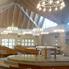 Image result for St Rita`s Camogie Club