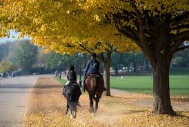 Image result for Liverpool Equestrian Club