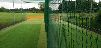 Image result for Salfords Cricket Club