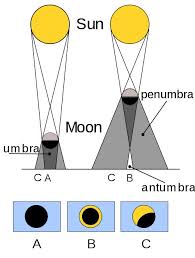 Attēlu rezultāti vaicājumam “Panolis umbra”