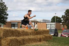 Image result for Wee County Harriers