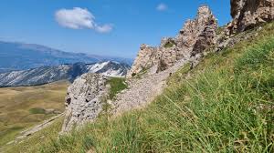 Attēlu rezultāti vaicājumam “Agrodiaetus damon underside”