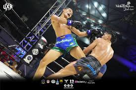 Image result for JTT Muay Thai