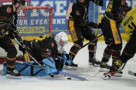 Image result for Widnes Ladies Hockey Club