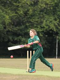 Image result for Grayshott Cricket Club