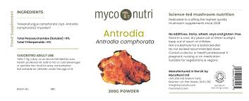 Attēlu rezultāti vaicājumam “Antrodia macra”