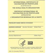 %2a Yellow%Card에 대한 이미지 검색결과