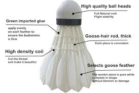 Image result for Linton Badminton Furies Badminton Club