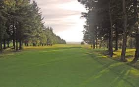 Image result for Blairbeth Golf Club